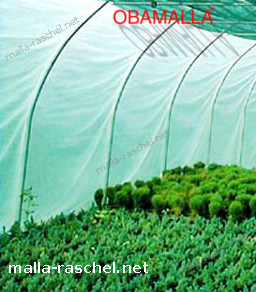 malla sombra verde usada para proteger plantas