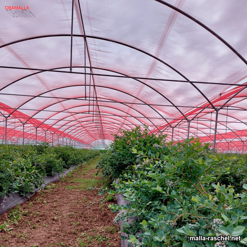 como la horticultura se ve apoyada